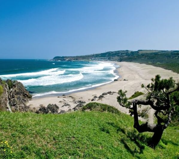 Strand