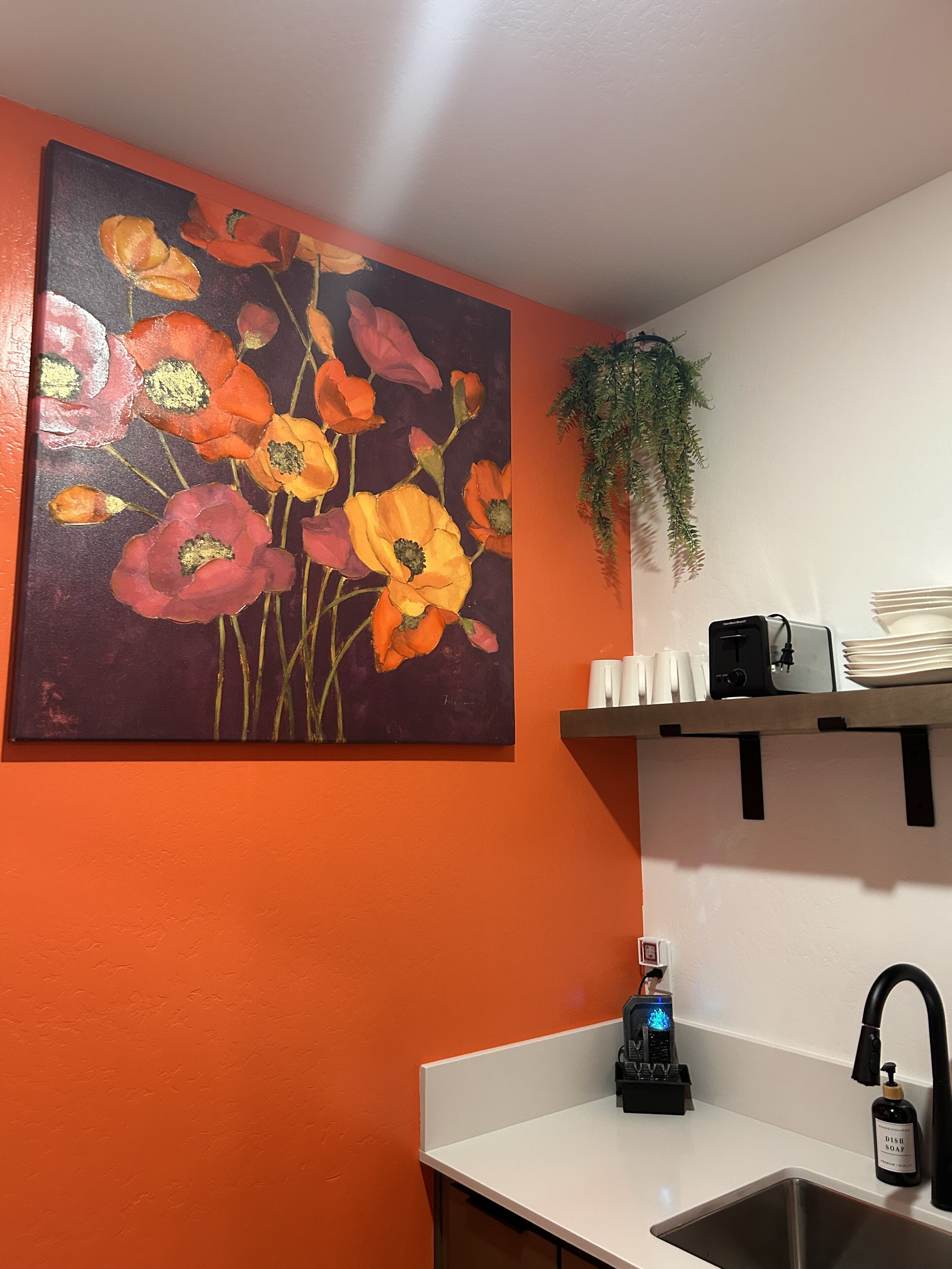 Una cucina con una parete arancione, un quadro con fiori, un lavandino, una macchina da caffè e una pianta pensile.
