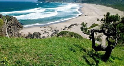 Nonsmoking Single room Main building Breakfast included / Hachinohe Aomori