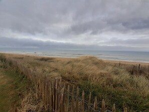 Nära stranden