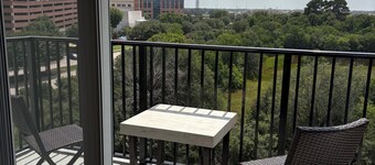 2-bedroom apartment in lovely Houston with WiFi, fitness room, AC