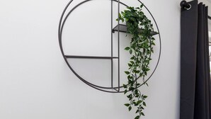 Une étagère circulaire en métal, fixée au mur, sur laquelle est posée une plante.
