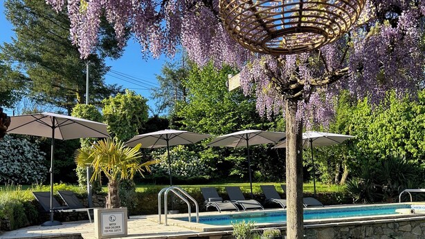 Een zwembadgedeelte met een houten bankje, parasols en een pergola met paarse bloemen.