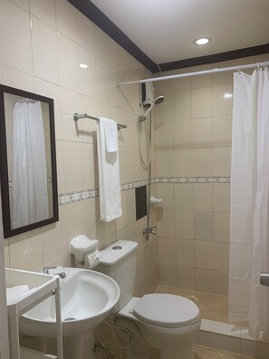 Shower, towels, soap, toilet paper