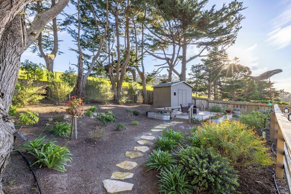 A garden with a stone path, a shed, and a variety of plants.