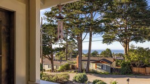 Une rue résidentielle bordée de maisons et d’arbres, offrant une vue dégagée sur l’océan.
