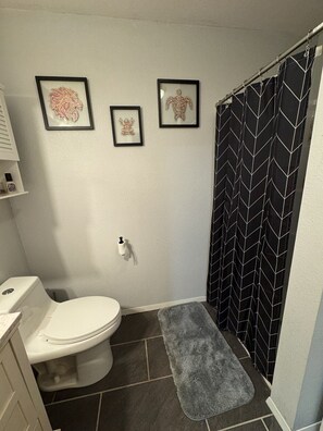 Shower, hair dryer - Cascadia Basecamp | AC, pet friendly, BBQ (randle)