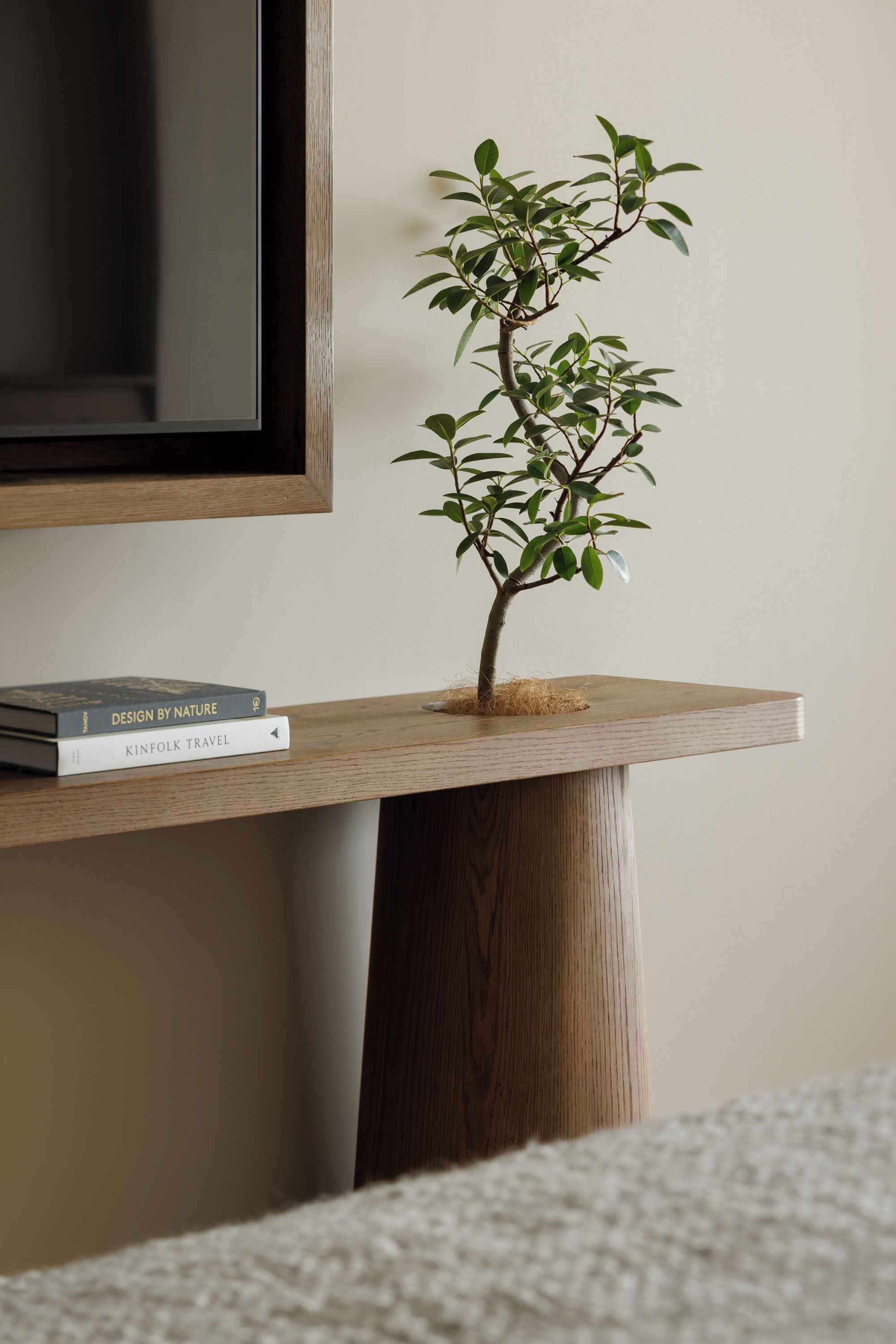 Een klein kamerplantje op een houten standaard, met boeken naast een televisie.