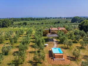 Pool - Rustico by Interhome (Bibbona)