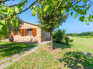 Property grounds - Rustico by Interhome (Bibbona)
