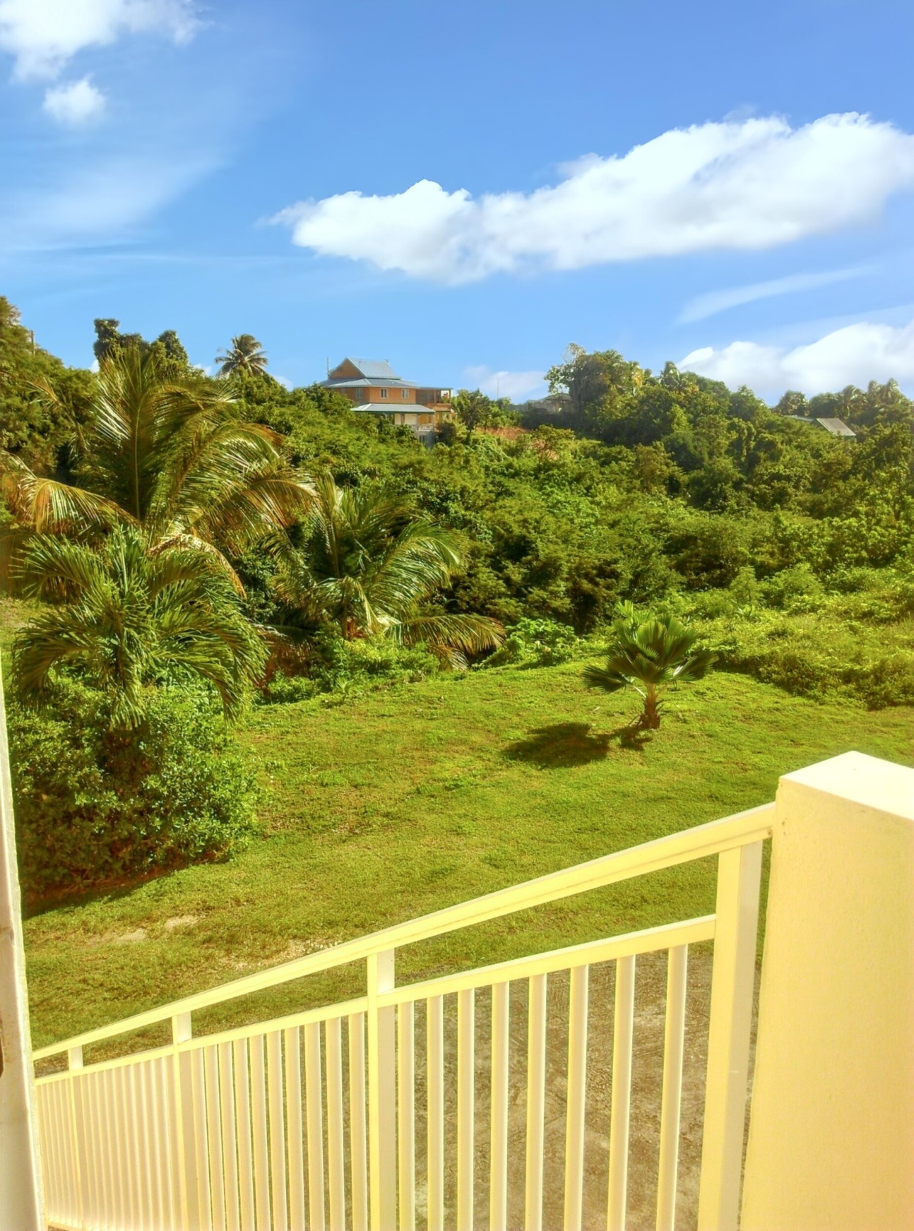 Garden view