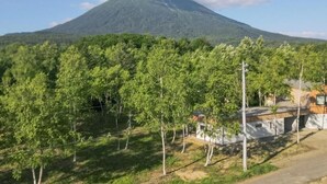 Una montaña con un primer plano boscoso y un edificio con techo inclinado.