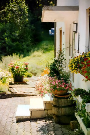 Ein Weg führt zu einem Gebäude mit Stufen und einem Blumenkübel aus Holz.