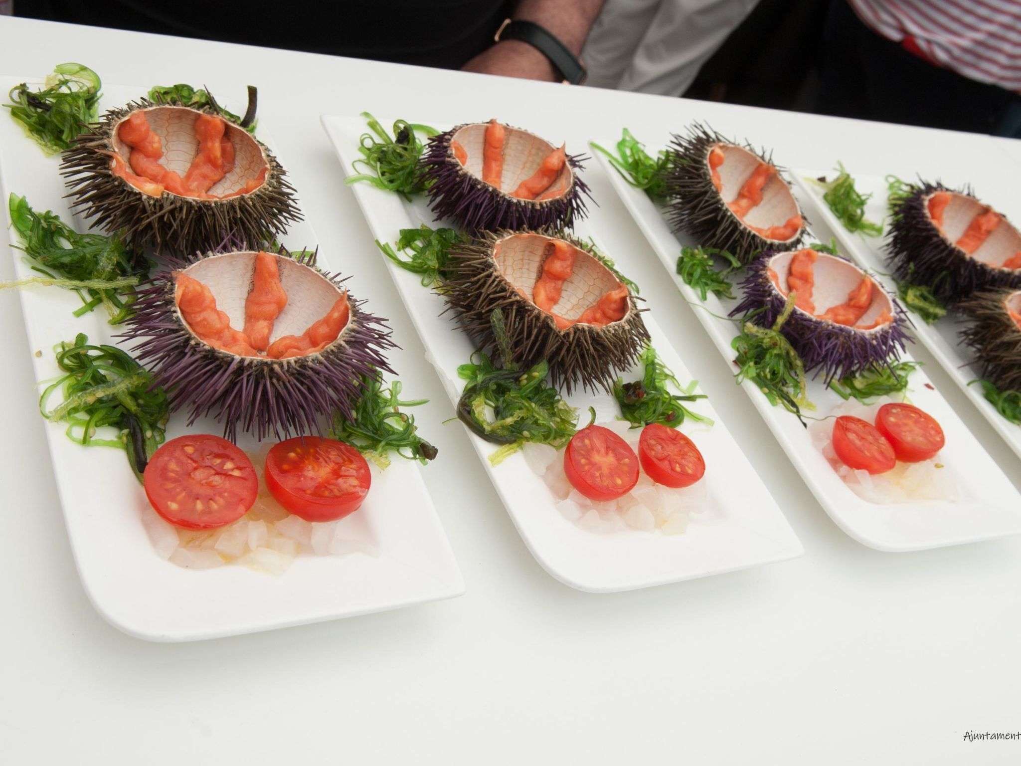 Un plato blanco rectangular con un plato de mariscos que incluye una concha con interior rosado, adornado con verduras verdes y dos rodajas de tomate.