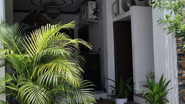 Une cour avec un sol carrelé, une grande plante en pot, un petit bassin avec des nénuphars et un ventilateur de plafond.