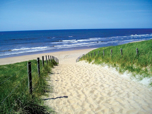 Playa en los alrededores 