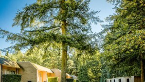 Een gebouw met meerdere kamers, een gazon en een pad dat naar een deur leidt.