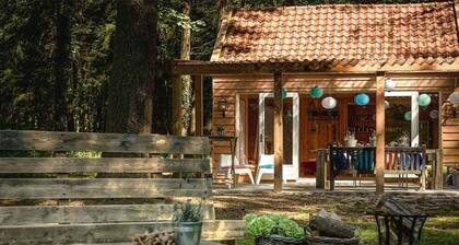 Cozy Forest Hotel Near Veluwe Park | Fletcher Mooi Veluwe Experience