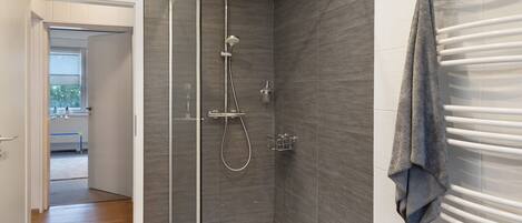 Shower, hair dryer, towels