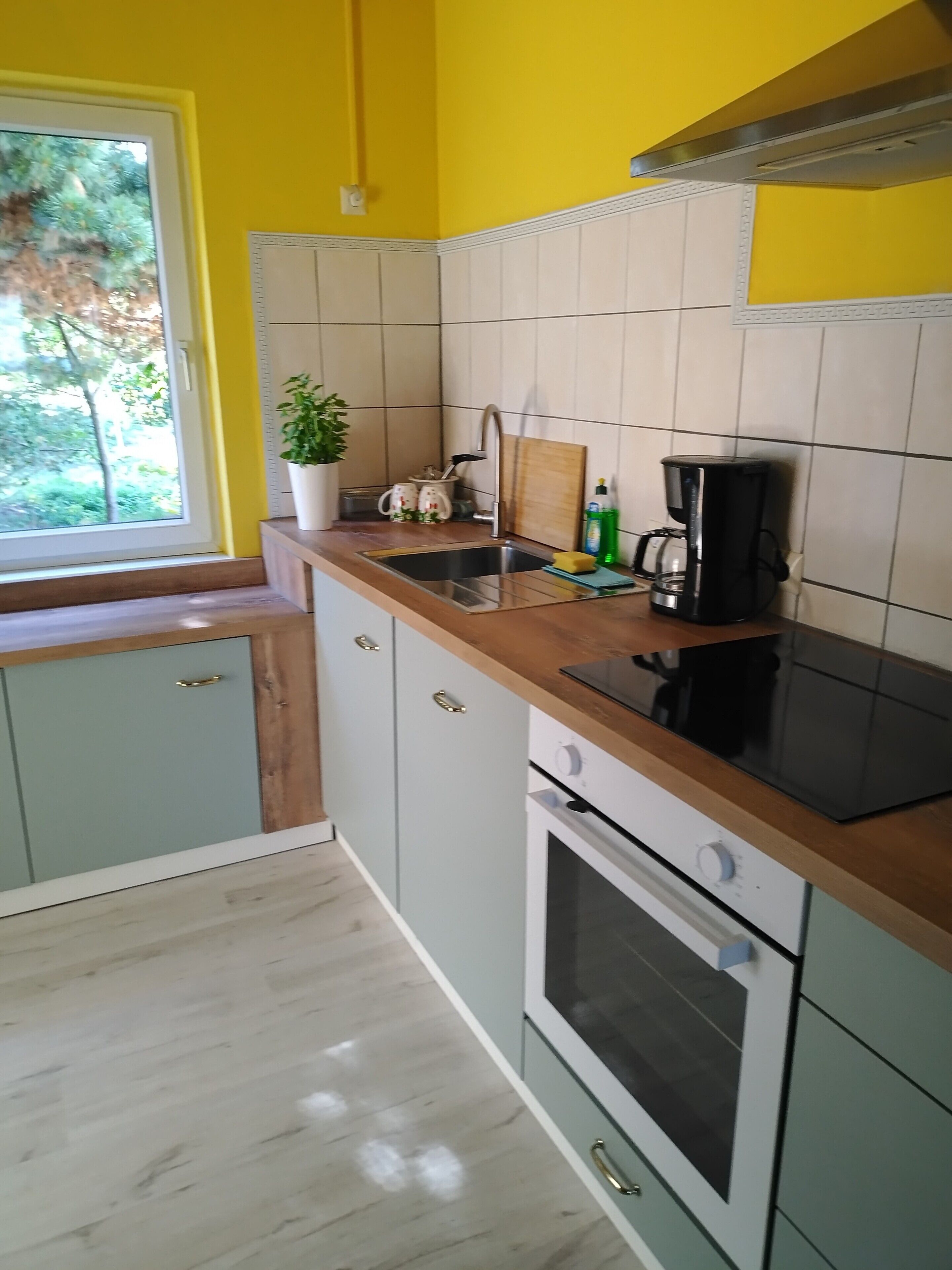 Fridge, oven, stovetop, dishwasher