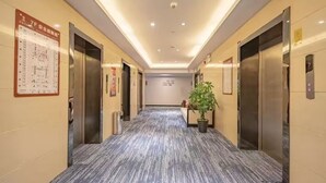 A hotel corridor with two elevators, a carpeted floor, and a potted plant.