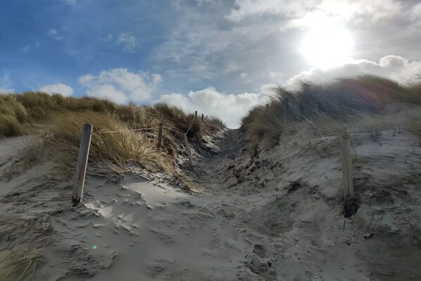 A sandy beach with dunes and a fence.