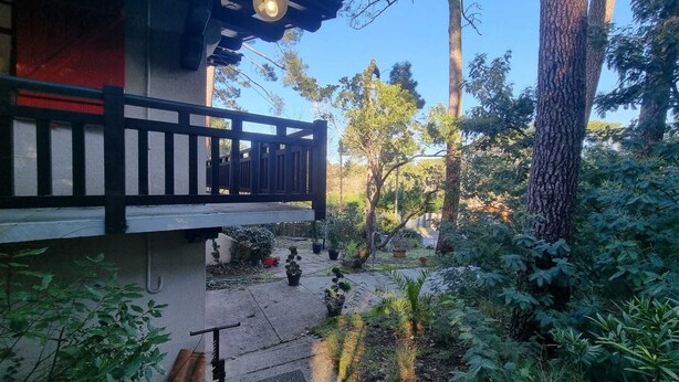Un balcón con barandilla de madera que da a un jardín con diversas plantas y árboles.
