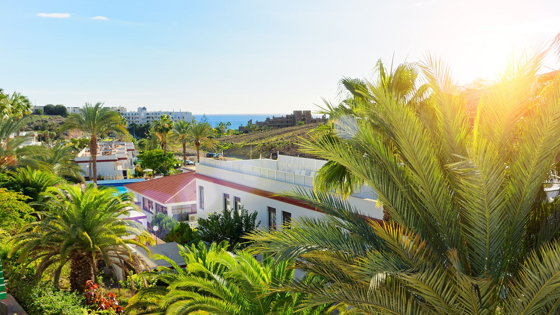 Un quartier résidentiel en bord de mer, avec des bâtiments blancs, une piscine et des palmiers.