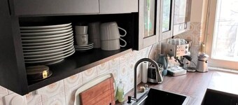 The pianists' stove (10 pl.)