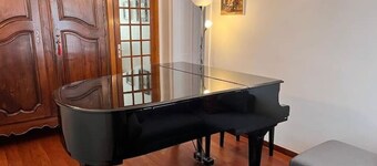 The pianists' stove (10 pl.)