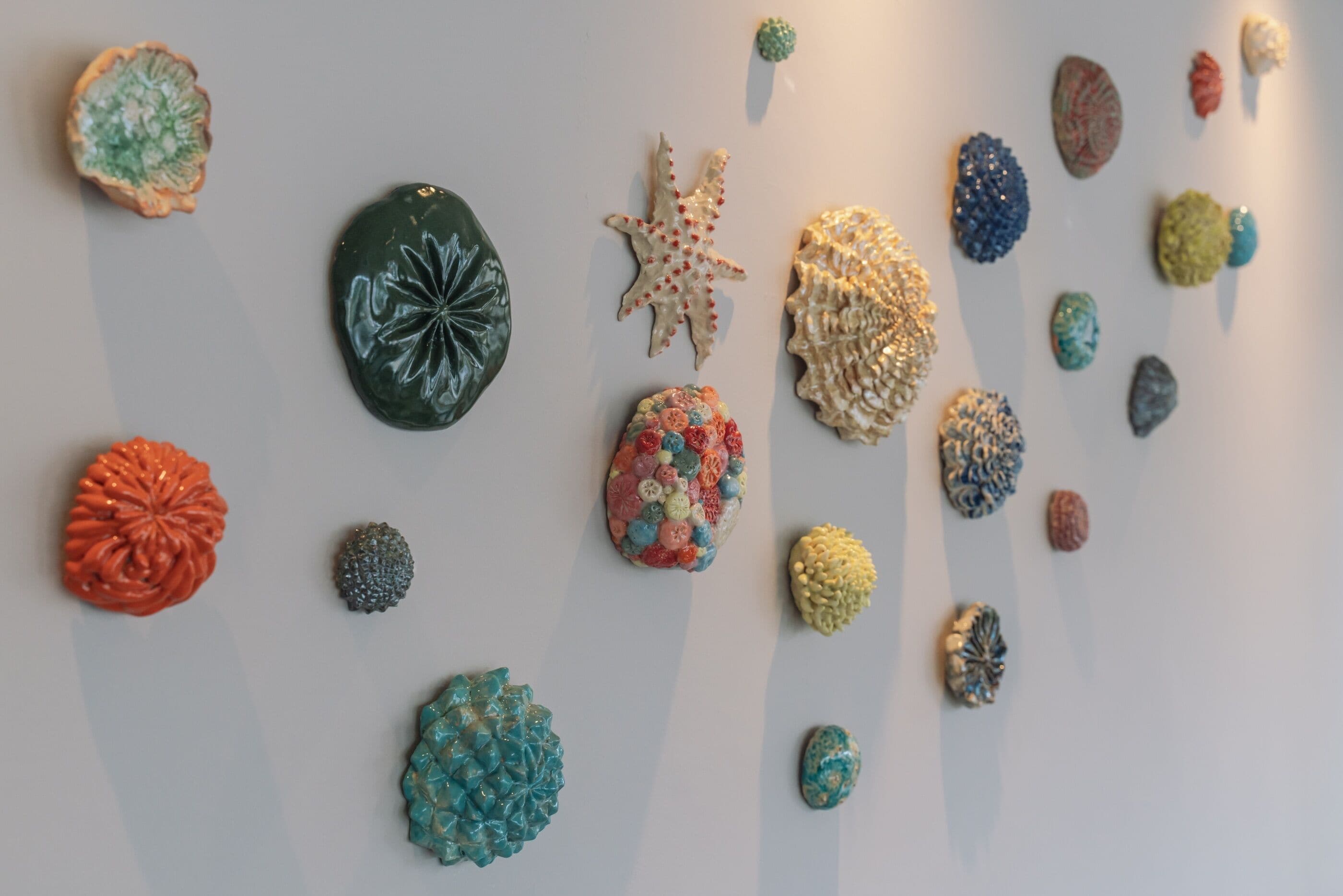 A collection of textured objects on a plain background.