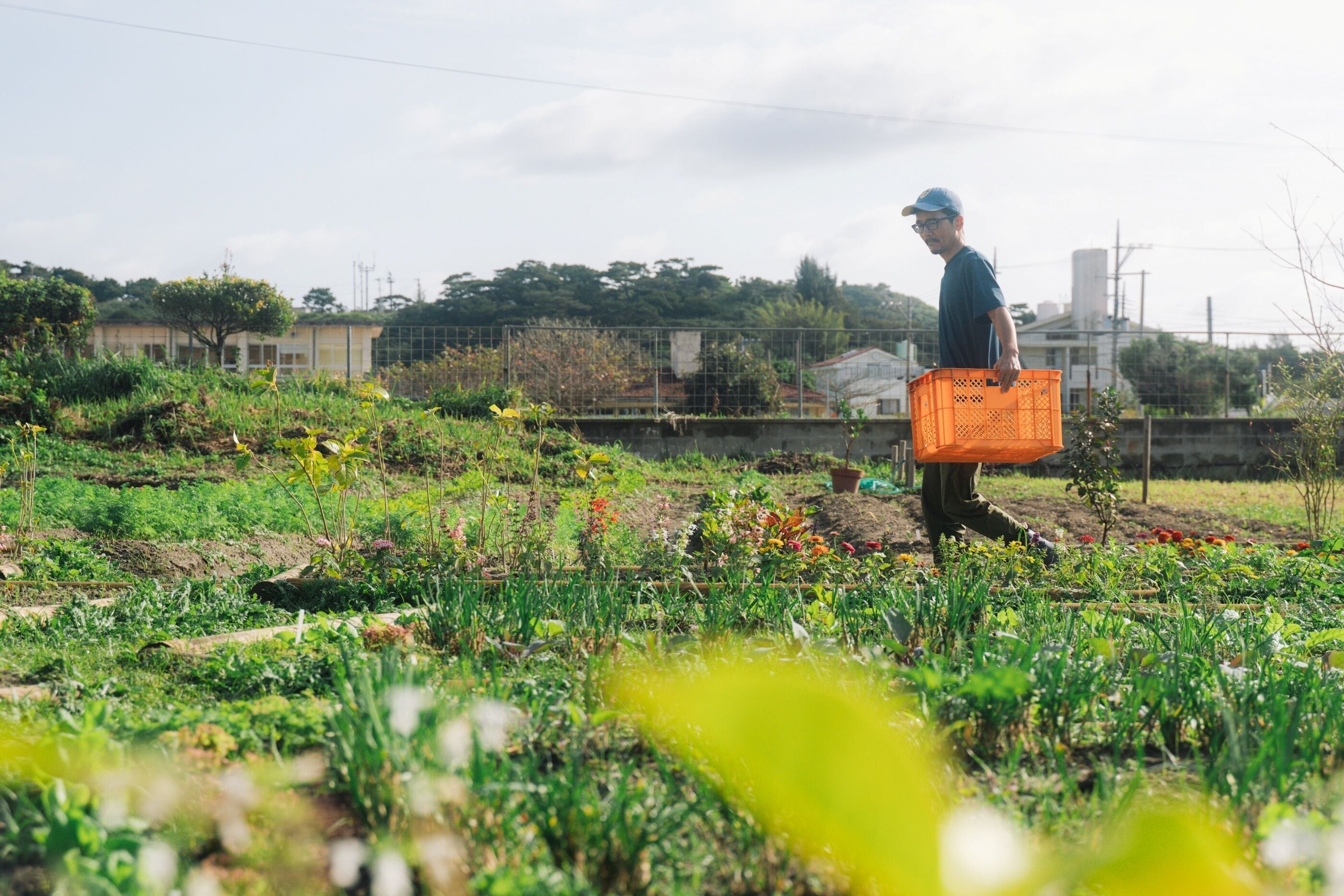 A person walking through a garden with various plants and flowers.