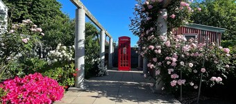 CNZhouse: classical and new, with space, near river, in CBD