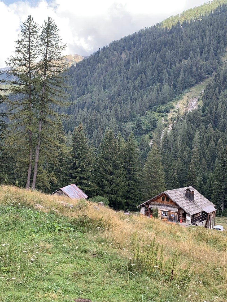 A cabin with a wooden exterior and a metal roof, surrounded by a forested hillside.