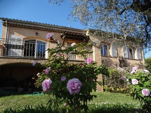 Detalle exterior