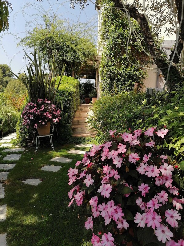 Áreas de la propiedad