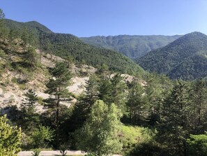 A mountainous landscape with dense forests and a dirt path.