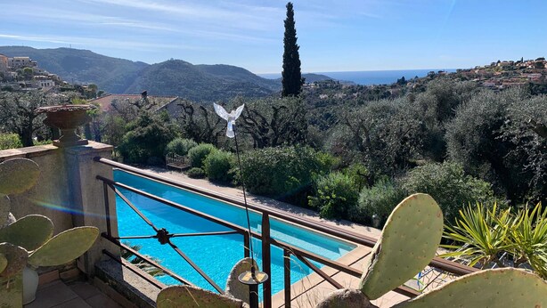 Una piscina con vistas a un paisaje montañoso y cactus.
