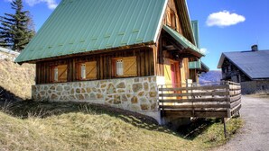 A rustic mountain lodge with a stone foundation, wooden exterior, and a green metal roof.