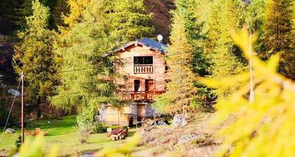 Le Balarino - BELVEDERE