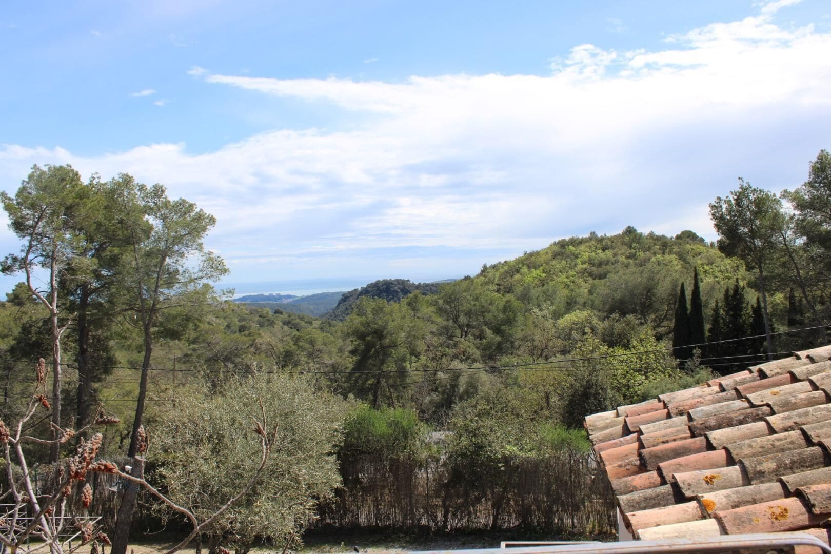 A view of a mountainous landscape with dense greenery and a clear sky.