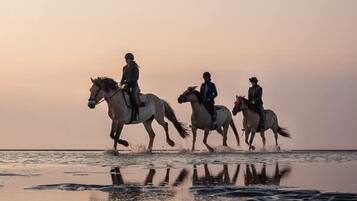 Three people riding horses on a beach at sunset.