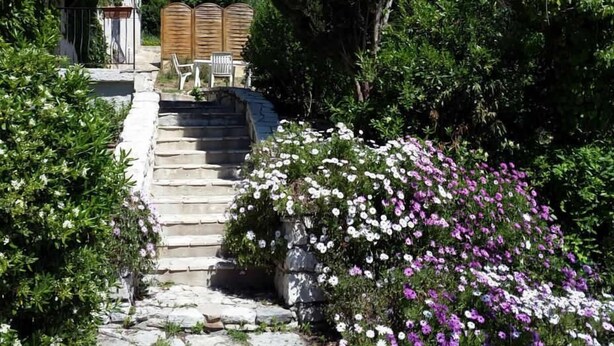 A stone staircase leading to a wooden door, surrounded by lush greenery and flowering plants.