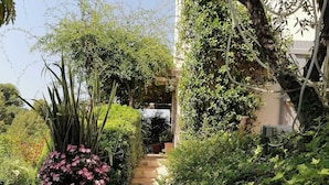 A garden pathway leading to a building entrance, surrounded by lush greenery and flowering plants.