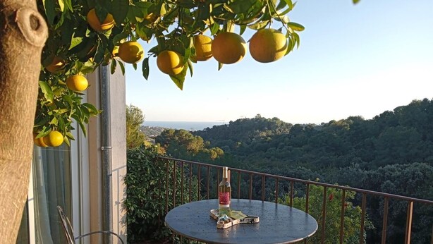 A balcony with a round metal table and chairs, a bottle of wine, and a view of a forested landscape.