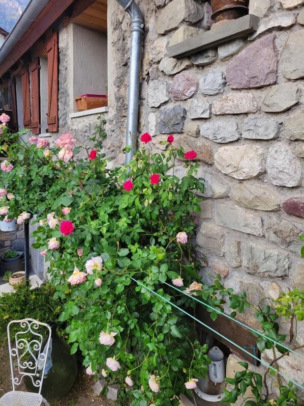 Détail de l’extérieur