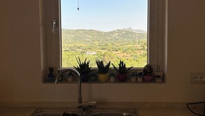 Eine Küche mit Blick auf eine Landschaft.