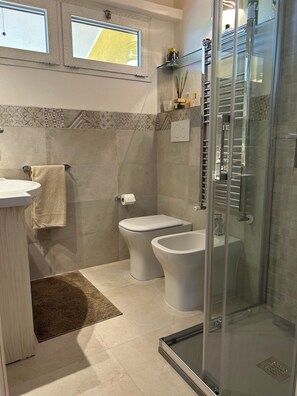 Hair dryer, bidet, towels, soap