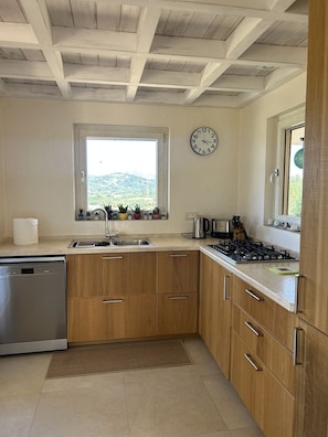 Oven, stovetop, dishwasher