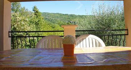 Le Palmier - BENDEJUN